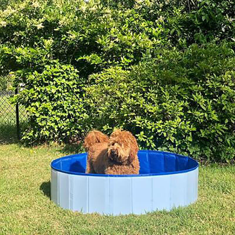 PORTABLE PAW POOL