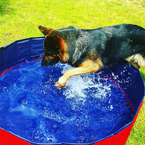 PORTABLE PAW POOL