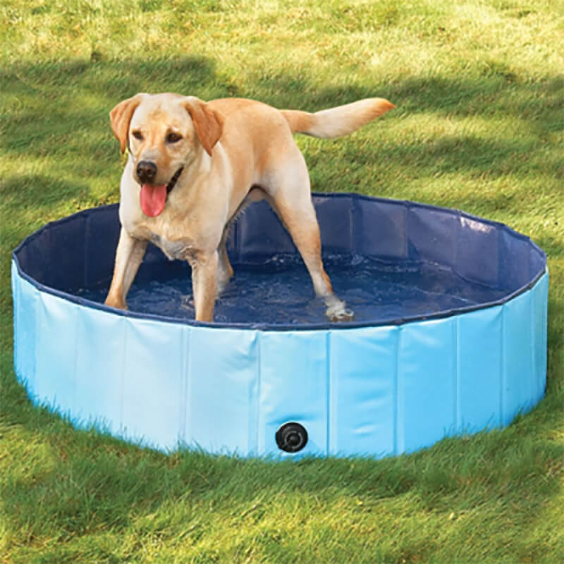 PORTABLE PAW POOL